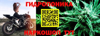 сатива Гусиноозёрск